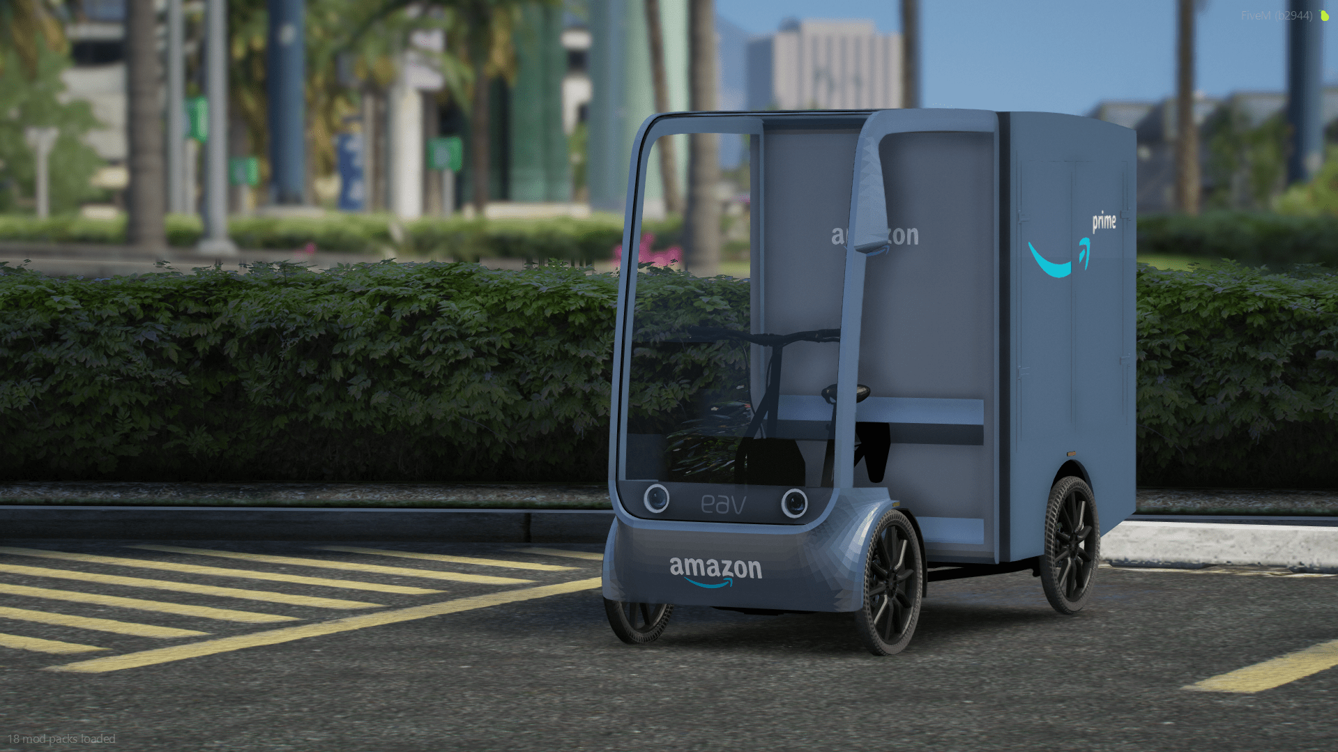 Amazon Delivery